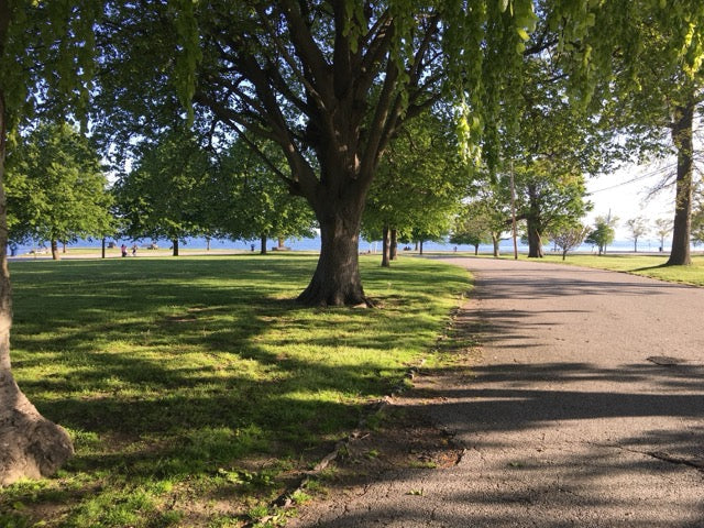 Long Island Sound Seaside Park on a summer day — Connecticut shoreline inspiration for Floriori botanical phone cases by Kate Spain