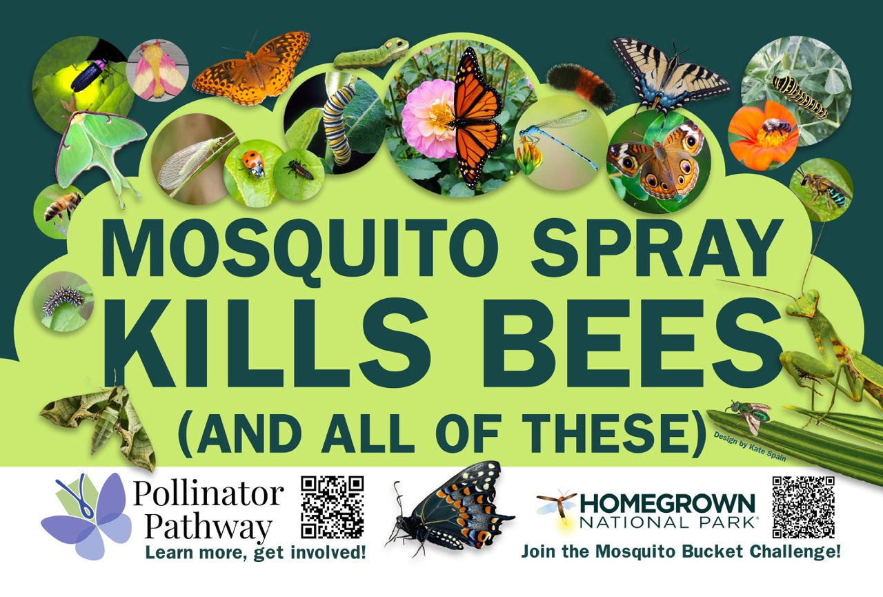 Yard sign reading "Mosquito Spray Kills Bees" surrounded by illustrated pollinators, designed by Kate Spain for floriori