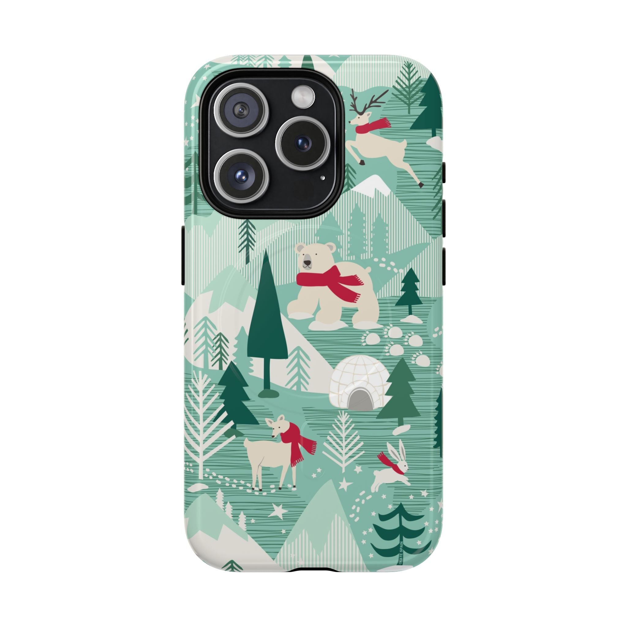 Arctica MagSafe iPhone Case