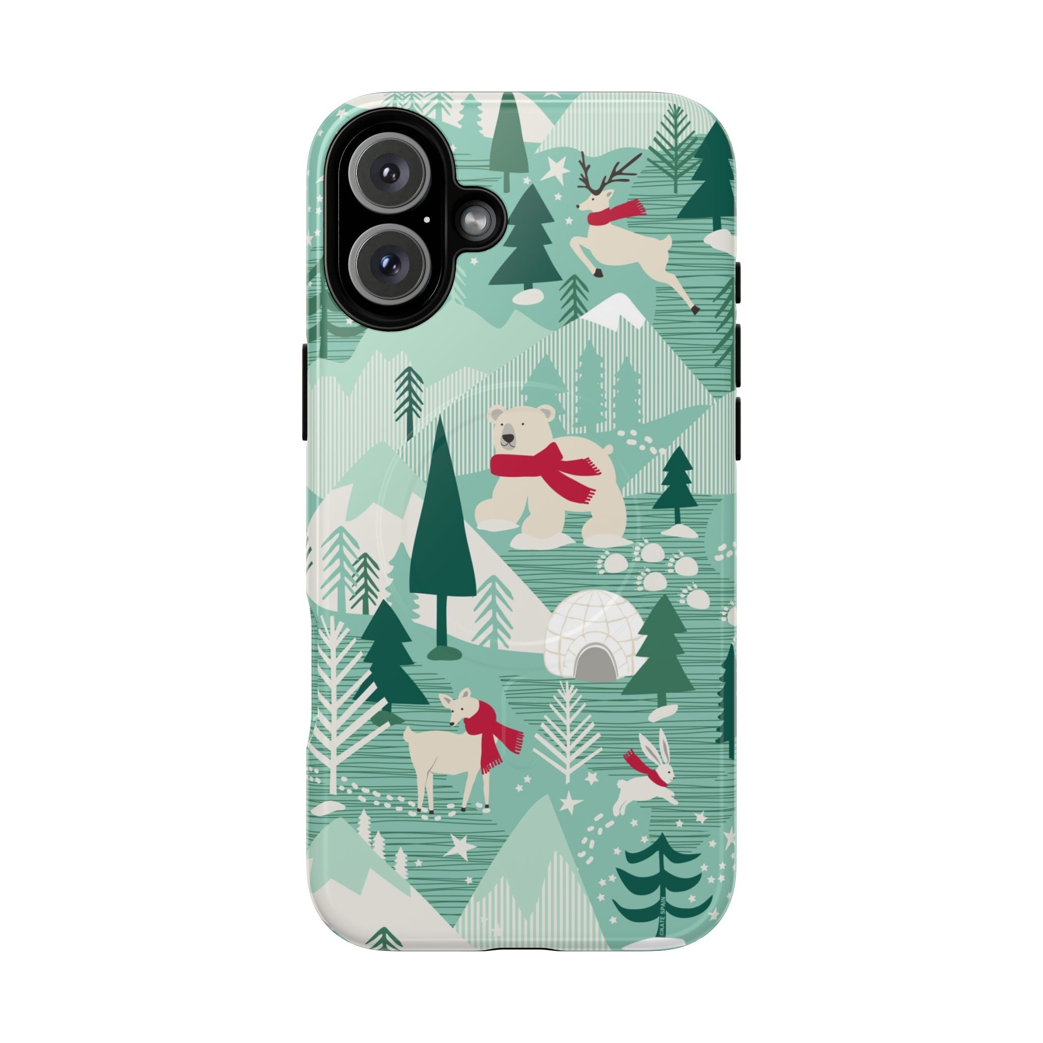 Arctica MagSafe iPhone Case