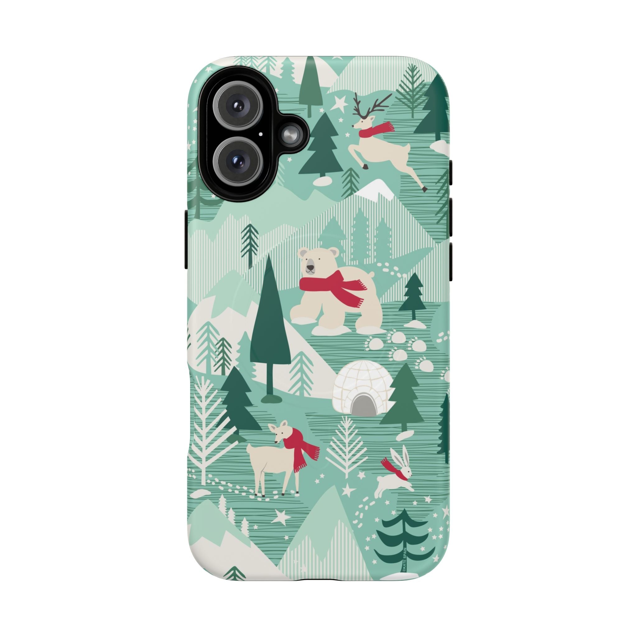 Arctica MagSafe iPhone Case