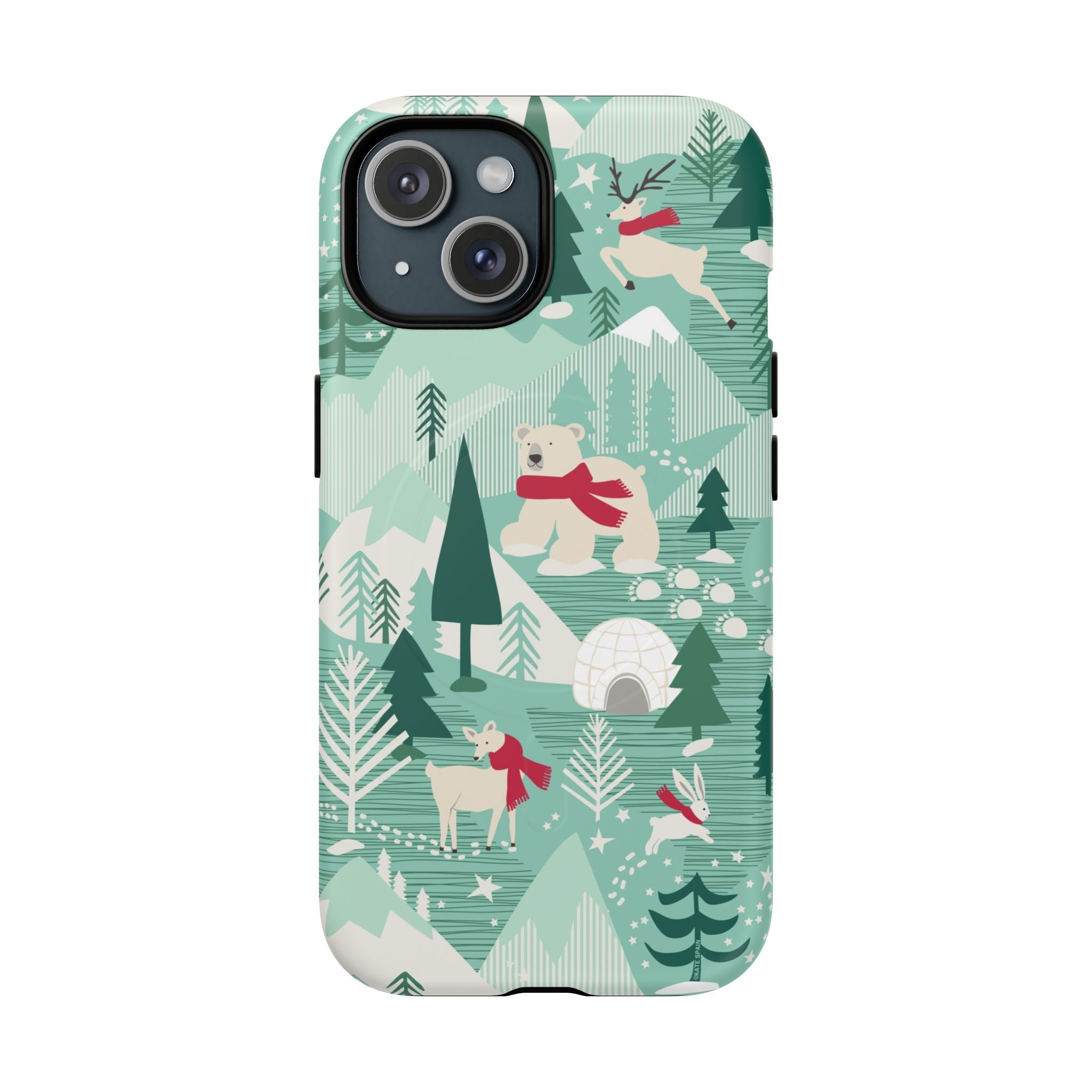 Arctica MagSafe iPhone Case