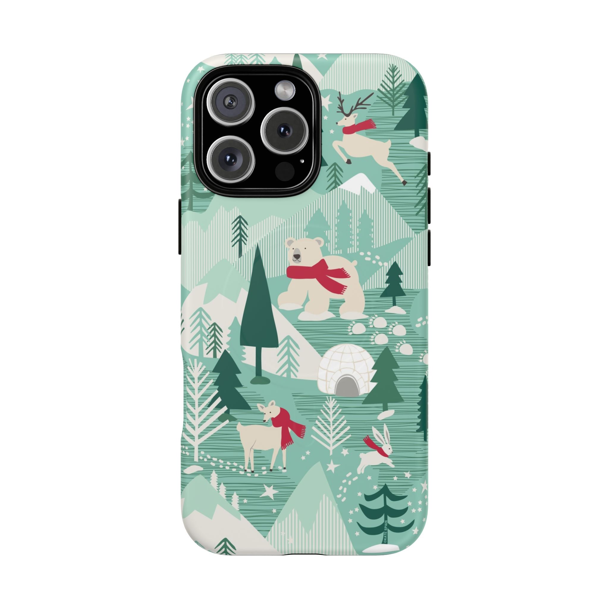 Arctica MagSafe iPhone Case